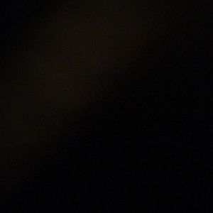 Meet your Posher, Shanese